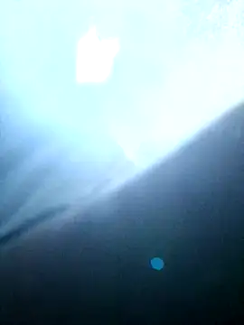 Freedomvim online show from October 2025 05:18:02 AM