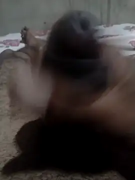 Snapshot of Tc777fun chatting on November 2025 11:47:01 PM Tc777fun online show from November 2025 11:47:01 PM