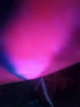 Chanderi19 online show from December 2025 08:04:02 PM