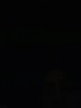 fernandowall online show from May 2026 03:16:01 AM