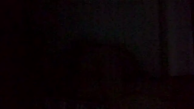 Astrid3 online show from February 2026 02:53:01 AM