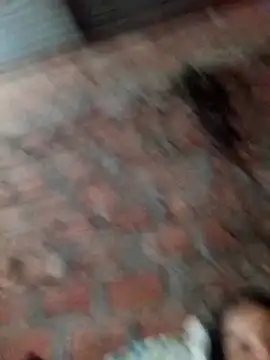  gaviota  online show from November 2025 01:31:01 AM