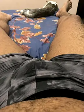 cookie-n-cream online show from October 2025 07:36:01 PM