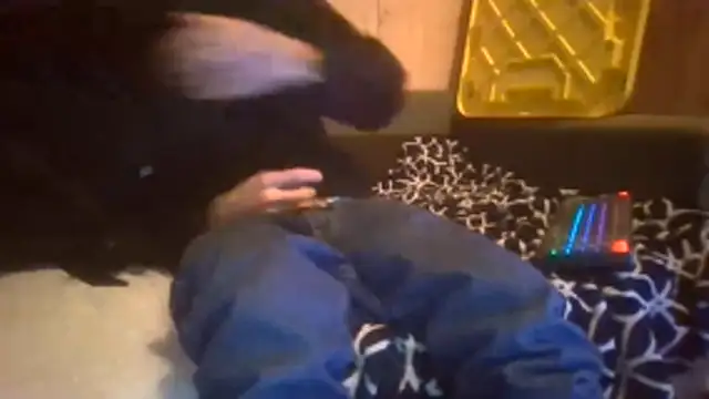 Sillycatfish online show from December 2025 09:56:01 AM