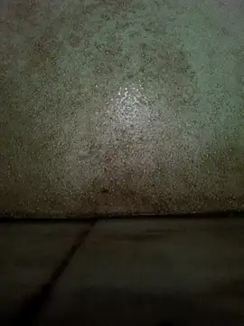 Snapshot of theindianjason chatting on October 2025 01:55:02 AM theindianjason online show from October 2025 01:55:02 AM