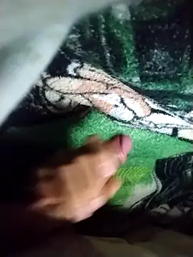 Max novato online show from April 2026 11:45:02 PM