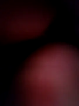 YUTELX online show from September 2025 12:48:01 PM