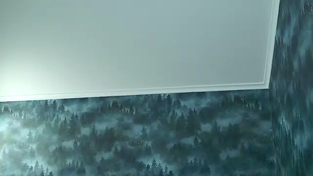 MarkShot  online show from November 2025 04:32:01 PM