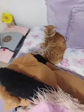 sweetdubros2 online show from March 2026 03:43:01 AM