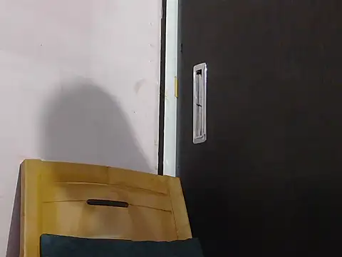 Nisha-telugu online show from October 2025 02:40:01 PM