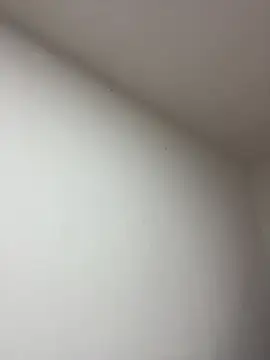 Anabelle 00  online show from March 2026 03:21:02 AM