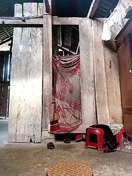 riso-00 online show from November 2025 07:01:02 AM