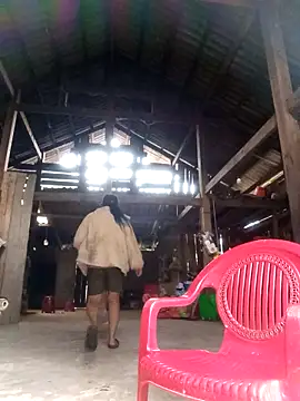 riso-00 online show from November 2025 04:19:02 AM