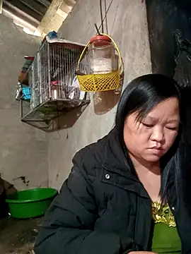 riso-00 online show from January 2026 06:53:02 AM