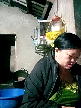 riso-00 online show from January 2026 01:49:02 PM