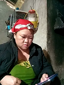 riso-00 online show from January 2026 01:55:02 AM