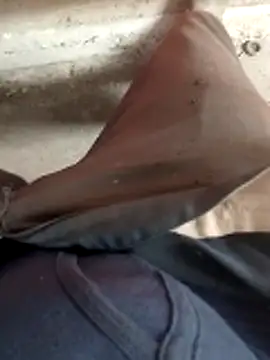 haryanaboypanipat12 online show from April 2026 07:56:01 AM