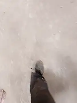 haryanaboypanipat12 online show from April 2026 07:25:02 AM