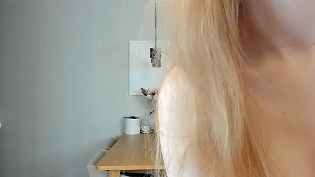 soft katy online show from February 2026 07:35:02 PM