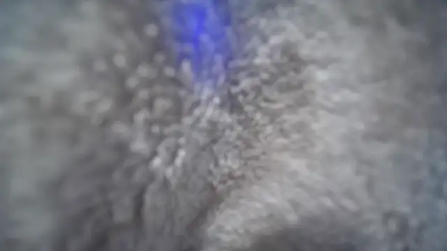 jasoncali305 online show from November 2025 07:03:01 PM