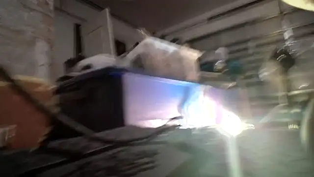 jasoncali305 online show from September 2025 06:39:02 AM