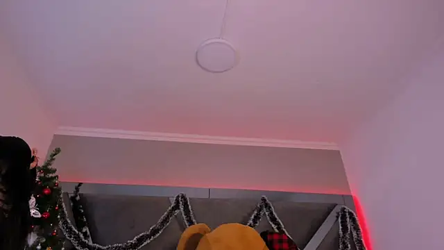 MariaFlowers online show from November 2025 07:25:01 PM