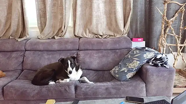 Alexis21821 online show from February 2026 08:14:01 AM