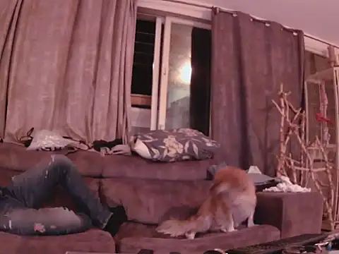 Alexis21821 online show from November 2025 11:20:02 PM