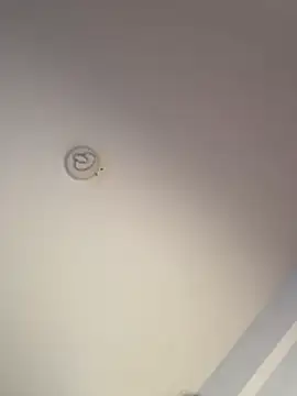 Andrestarr online show from March 2026 02:28:01 PM