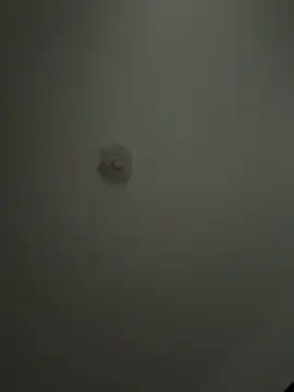 Andrestarr online show from April 2026 02:02:02 PM