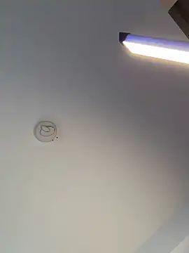 Andrestarr online show from February 2026 11:53:02 AM