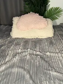 Andrestarr online show from April 2026 06:31:02 PM