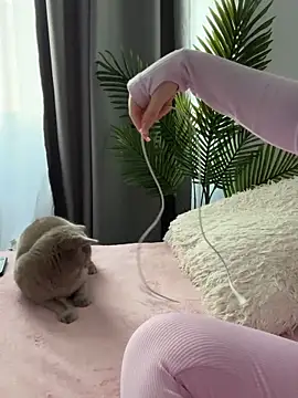 Andrestarr online show from March 2026 02:56:02 PM