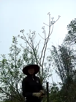 bonnie-00 online show from March 2026 02:33:02 AM