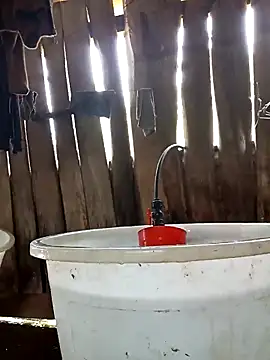 bonnie-00 online show from April 2026 05:35:01 AM