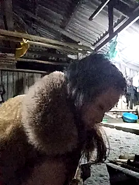 bonnie-00 online show from November 2025 10:46:02 PM