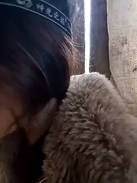 bonnie-00 online show from December 2025 09:04:02 AM