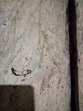 bonnie-00 online show from November 2025 10:58:01 PM