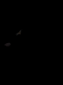 Alex criminal22 online show from September 2025 01:32:02 AM