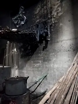 Dung x online show from March 2026 01:01:01 PM