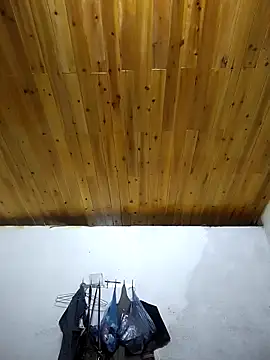 Dung x online show from October 2025 11:56:02 AM