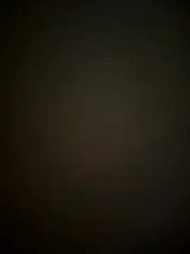 SienaWild online show from January 2026 04:08:01 AM