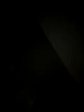 SienaWild online show from December 2025 04:15:01 AM