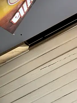 SienaWild online show from December 2025 03:18:01 AM