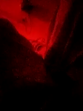 Snapshot of meenahotdarling chatting on September 2025 04:34:01 PM meenahotdarling online show from September 2025 04:34:01 PM