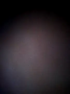 thehotlady online show from October 2025 08:46:02 AM