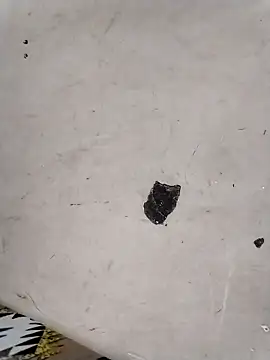 Rapunzal online show from March 2026 06:08:01 PM