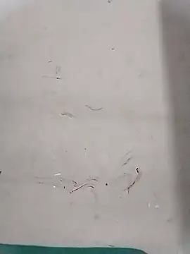 Rapunzal online show from October 2025 07:59:02 PM