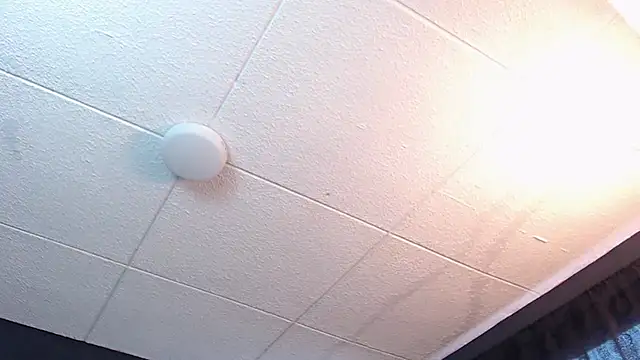 RichardMilleer online show from February 2026 01:43:02 PM