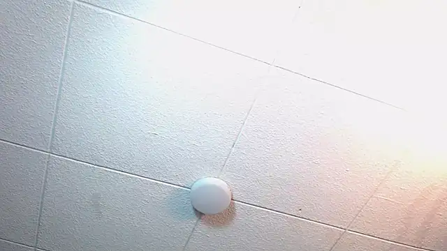 RichardMilleer online show from November 2025 02:21:01 PM